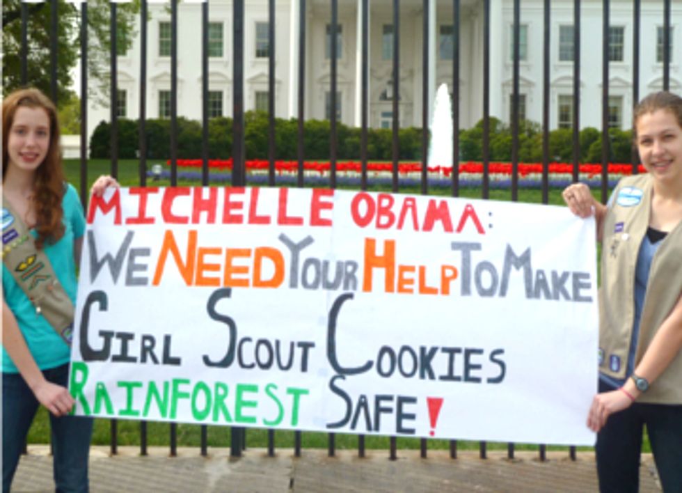 What Do Palm Oil, Orangutans and Girl Scout Cookies Have in Common?