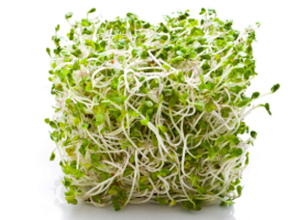 GE Contamination Found in Washington Alfalfa