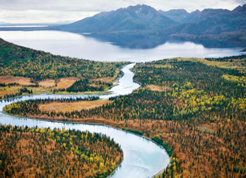 Major Backer Pulls Out of Pebble Mine Project