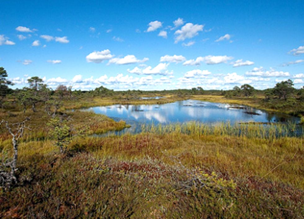 Coalition Forms to Solve World's Most Urgent Conservation Challenges