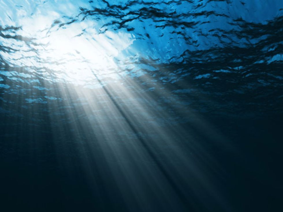 Urgent Warning from Scientists: Health of Oceans Spiraling Downwards