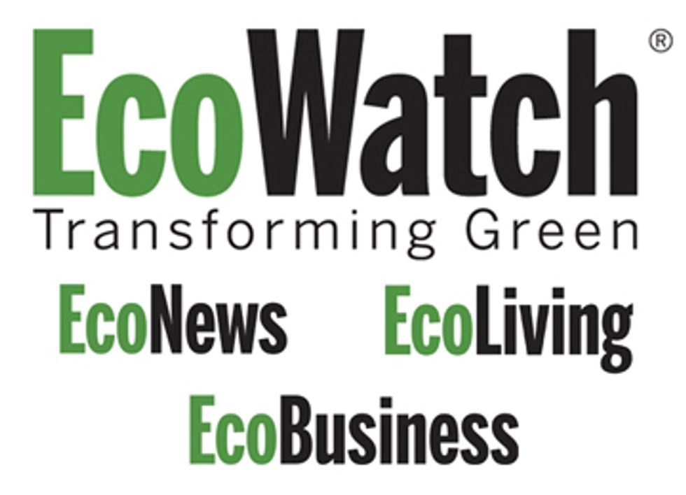 EcoWatch Expands Website to Reach All Shades of Green
