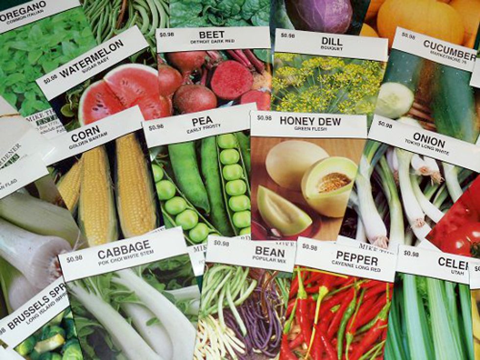 How to Keep Your Seeds Alive for Years