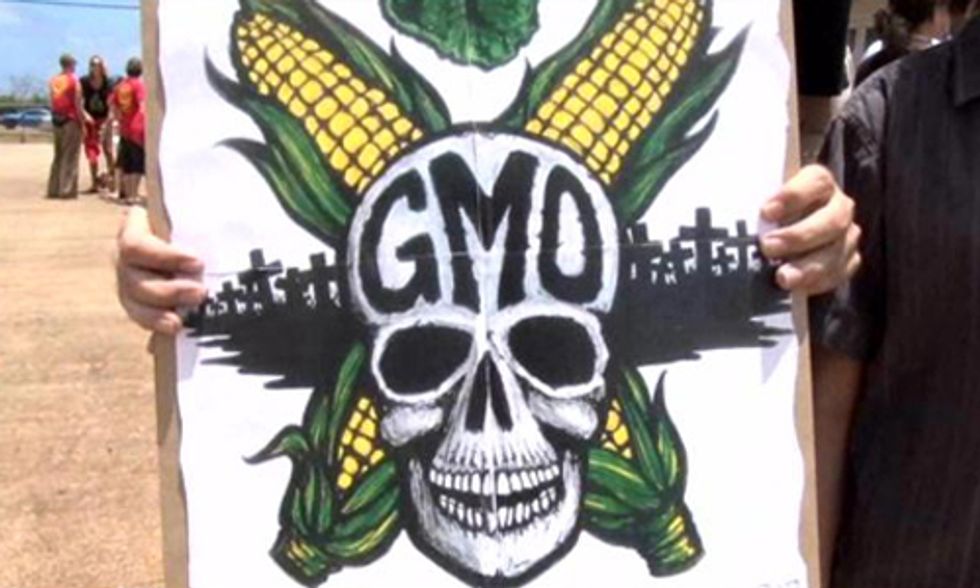Kauai Council Approves Controversial GMO Bill
