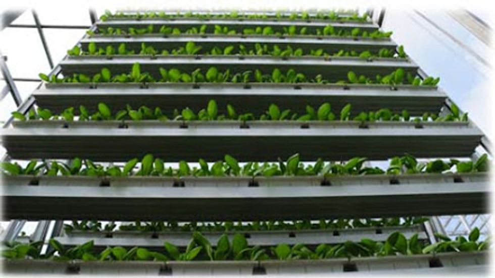 5 Examples of Creative Urban Agriculture From Around the World