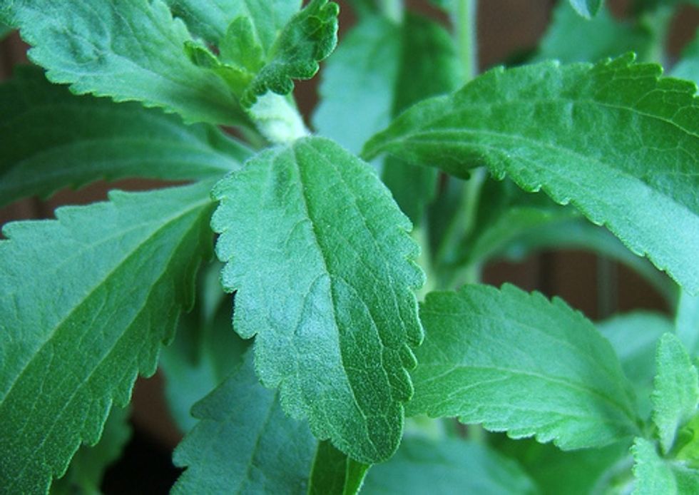 5 Eco-Friendly Alternatives to Highly Processed Sugar