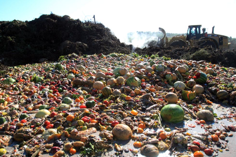 Global Organizations Take Major Step Toward Cutting Food Waste