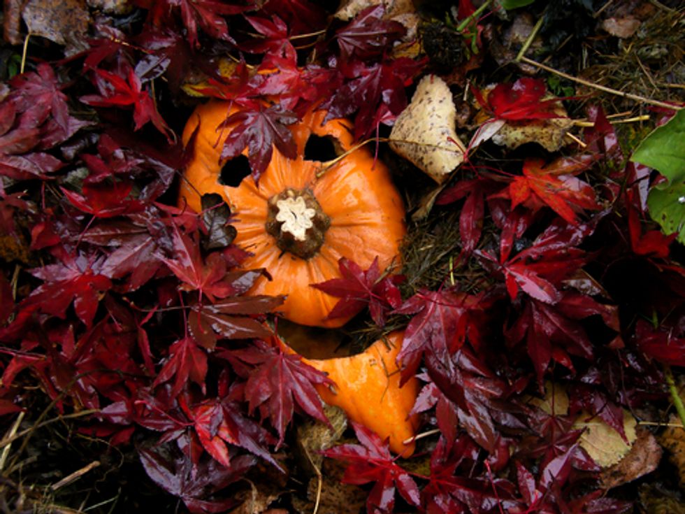 5 Ways to Make Your Halloween Green