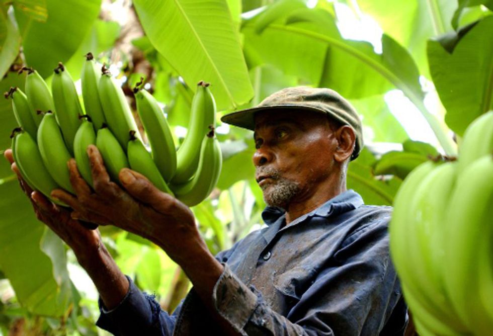 5 Reasons You Should Buy Fair Trade