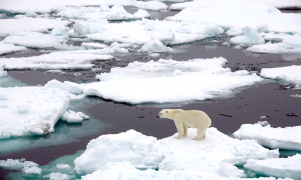 Researchers Discover Arctic Warmer Than Anytime in Last 44,000 Years