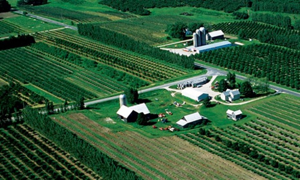 How Eating Healthy Improves Farming Communities and the Environment