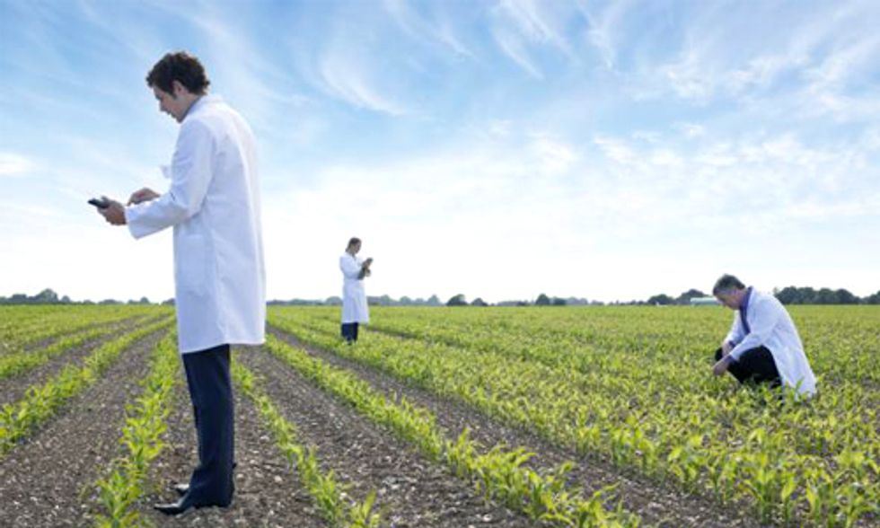 Kauai Mayor Vetoes Bill Mandating Disclosure of Genetically Modified Crops