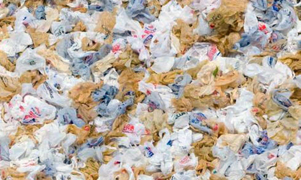 Proof Positive It's Time to Ban Plastic Bags