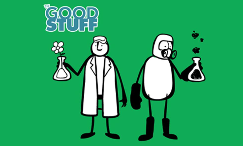Reducing Toxic Chemicals in Your Home