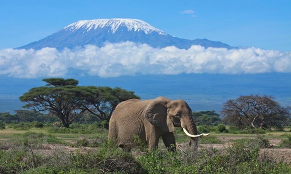 5 Amazing Places to Visit Before Climate Change Alters Them Forever