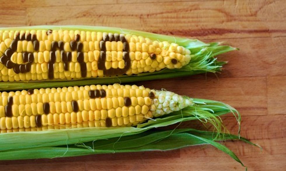 Monsanto’s Genetically Engineered Sweet Corn a Flop?