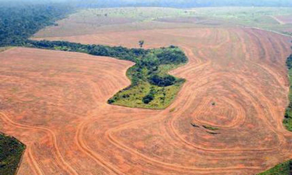Amazon Deforestation Increases 28 Percent in One Year