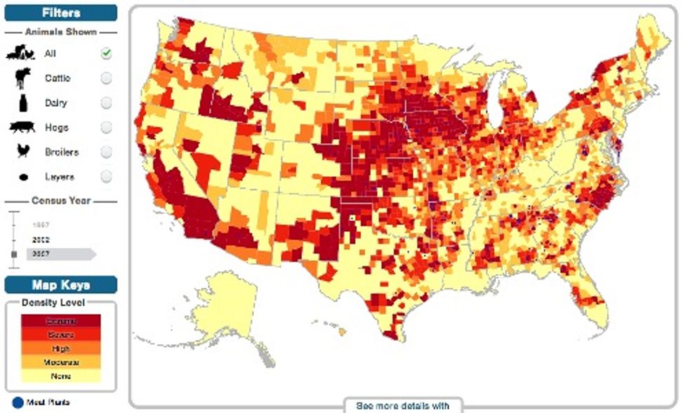 Factory Farming Bad For People Planet And Economy Ecowatch