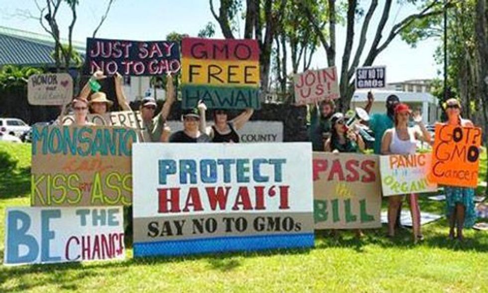 Hawaii's Big Island Bans GMO Crops and Biotech Companies