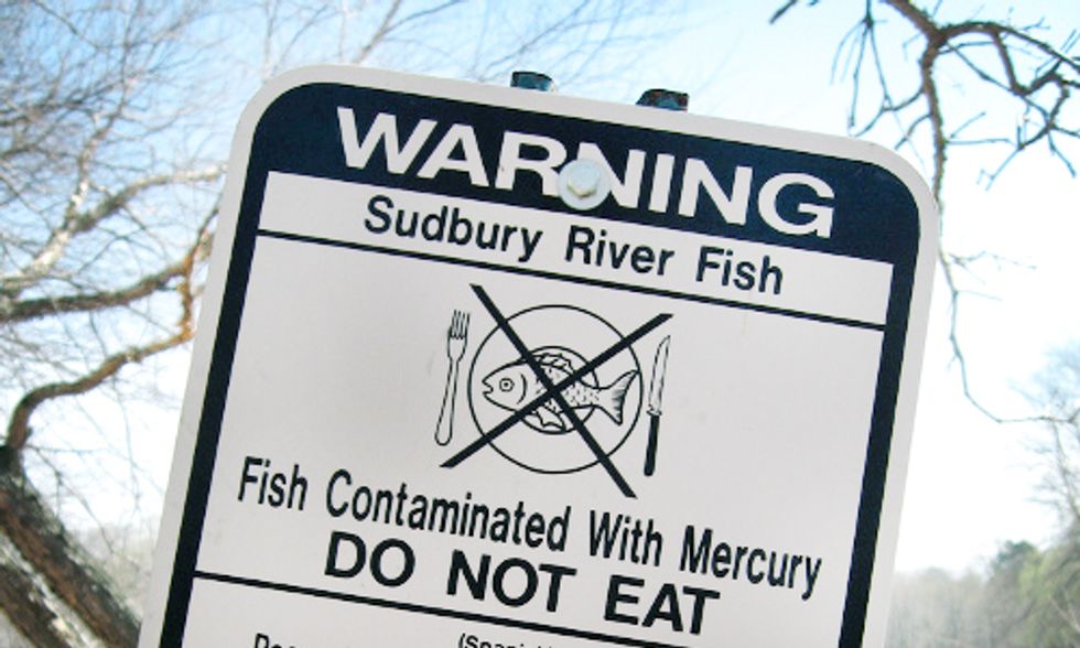 How Eating Fish Can Contribute to Cardiovascular Disease
