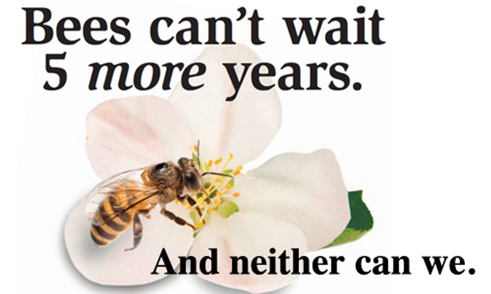 Coalition Builds Buzz on Pollinator Decline With National Ad Campaign
