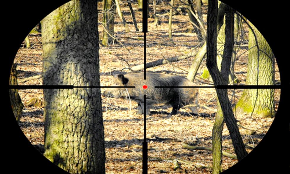 U.S. Wildlife Services Kills 1.5 Million Animals Each Year With No Public Accountability