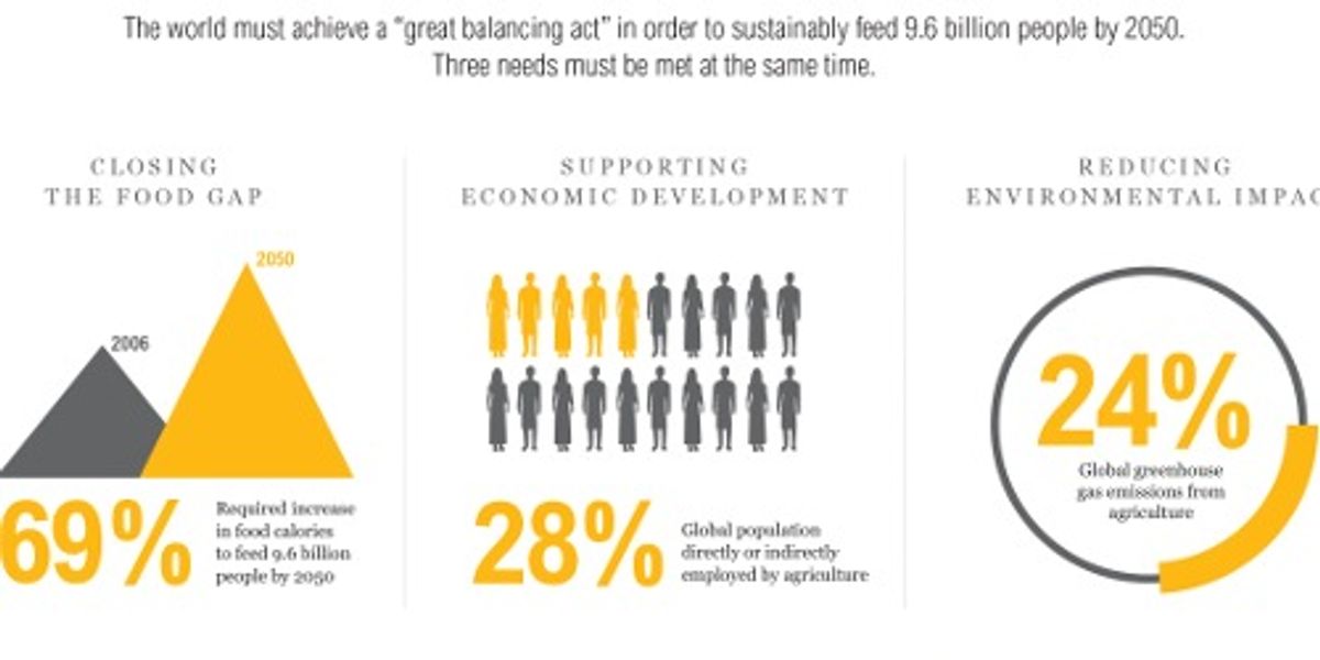 18 Graphics That Explain the Global Food Crisis and How to Solve It