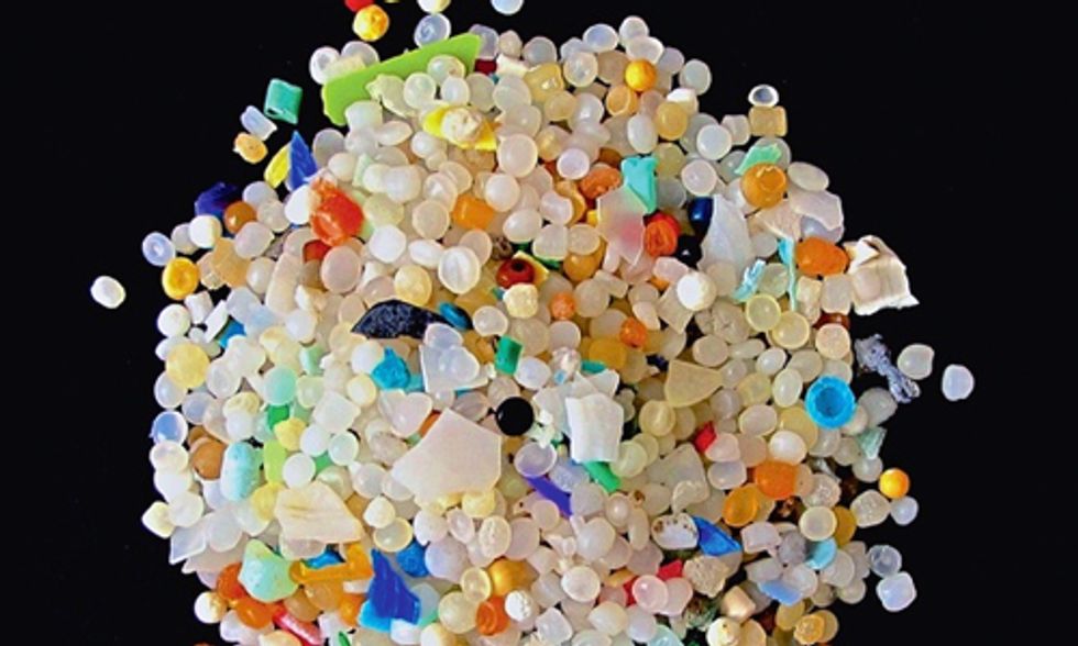 Does Your Facial Scrub Harm Marine Life?