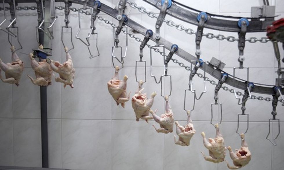New USDA Food Safety Plan Will Speed Up Poultry Processing Lines