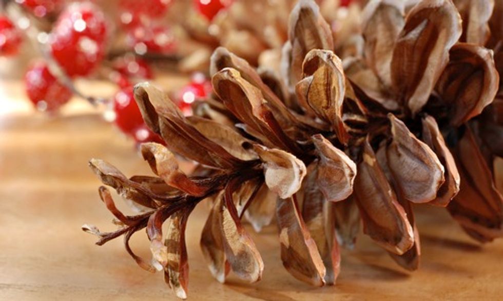 6 Green Alternatives to Toxic Holiday Decorations