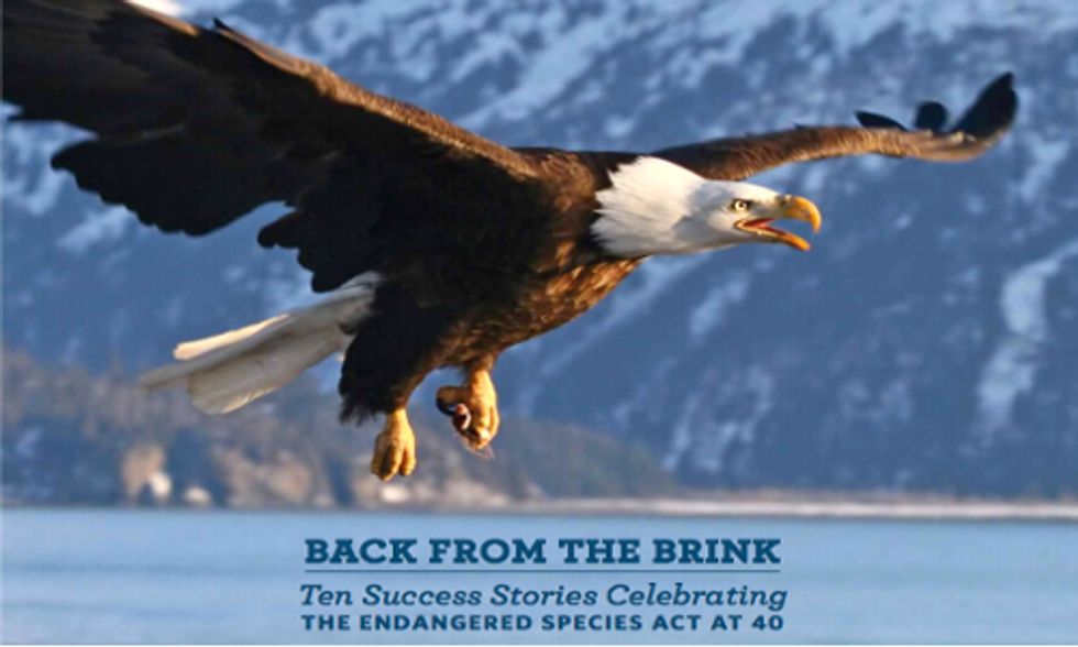 10 Success Stories Thanks to the Endangered Species Act