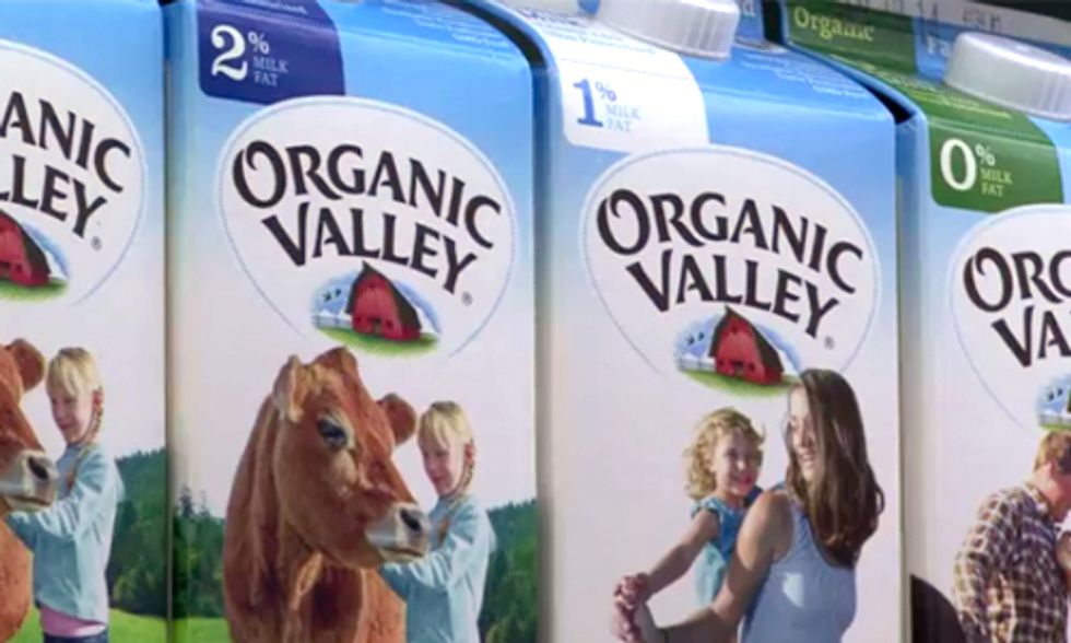 Study Finds Organic Milk More Nutritious Than Conventional Milk