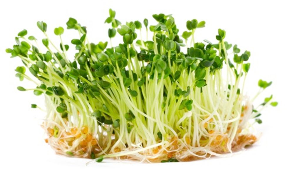 8 Tricks Your Ancestors Knew About Preparing Healthy Food