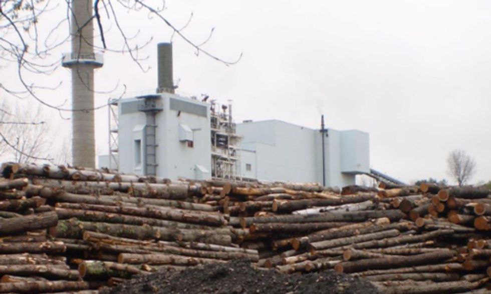 Groups Expose UK for Subsidizing Biomass and 'Clean Coal' as Renewable Energy