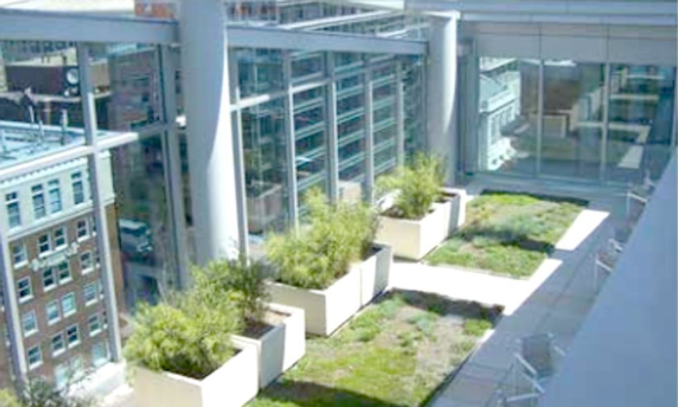 How Green Infrastructure Adds Value for Property Owners and Tenants
