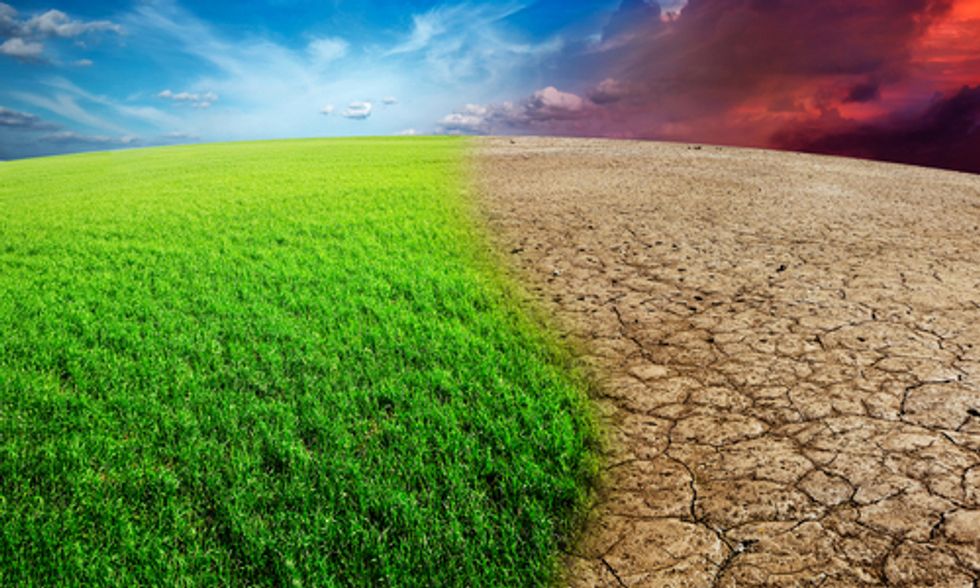 5 Ways to Mobilize Private Investment to Tackle Climate Change