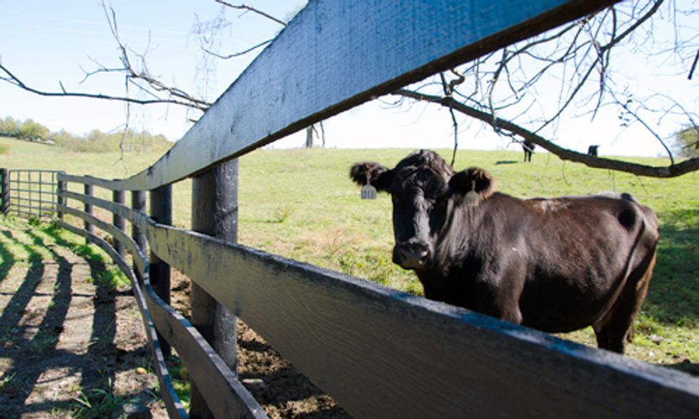 Fracking Pipeline Stirs Controversy in Bluegrass State