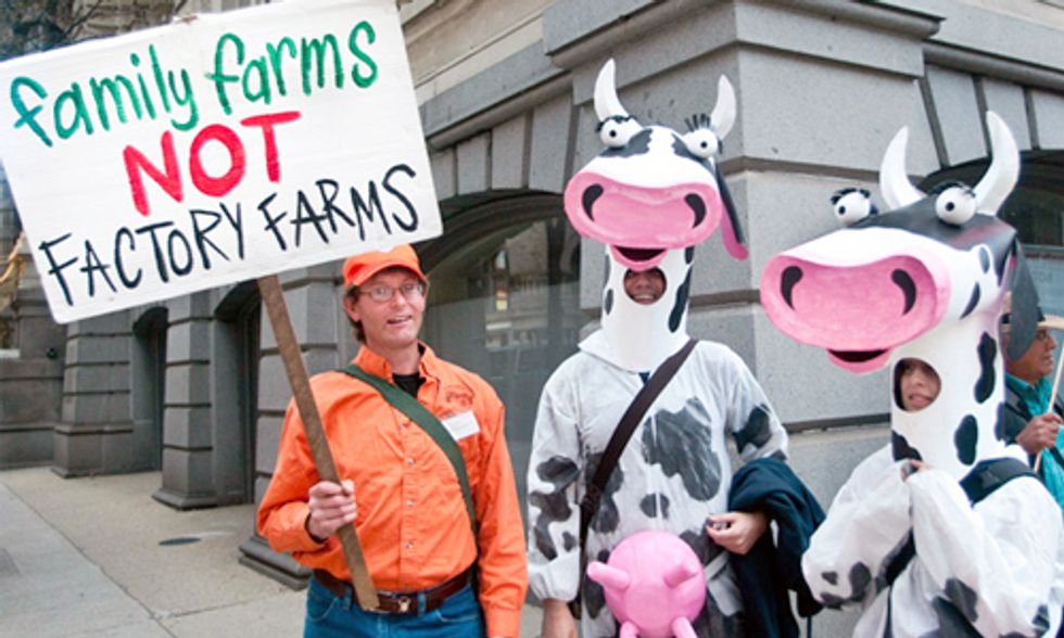 6 Crimes Against Nature Perpetrated by the Food Industry