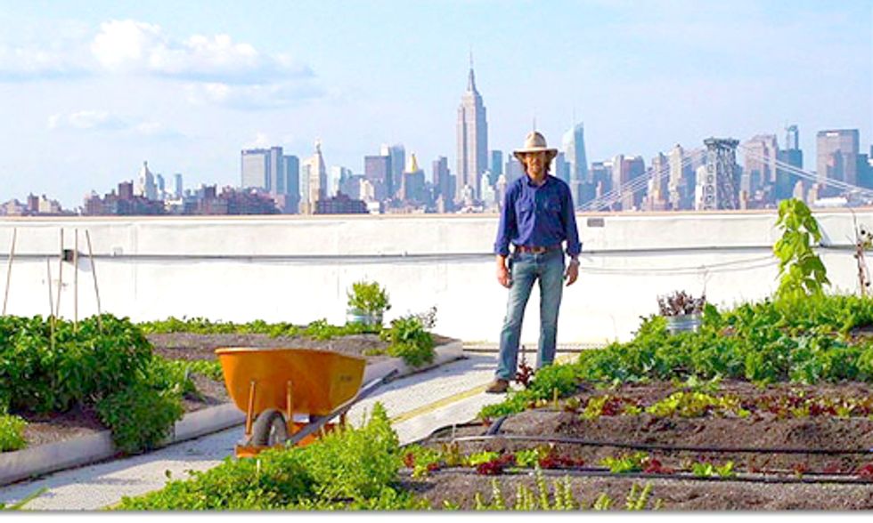 Rooftop Farm in New York City Grows 50,000 Pounds of Organic Produce Per Year