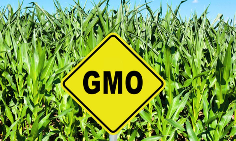 Groups Challenge USDA's Proposed Deregulation of GE Corn and Soybeans