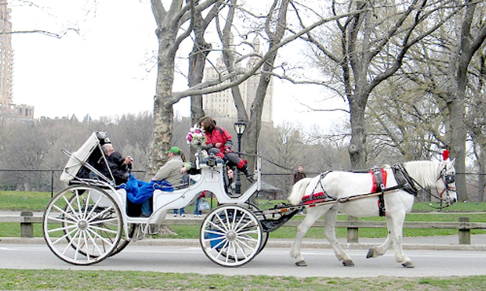 EVs vs. Horse-Drawn Carriages in New York's Central Park