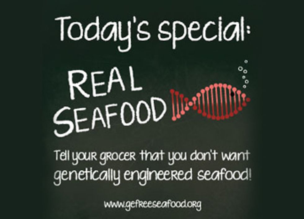 Target, Giant Eagle, Meijer Join Major Retailers Saying No to GE Salmon