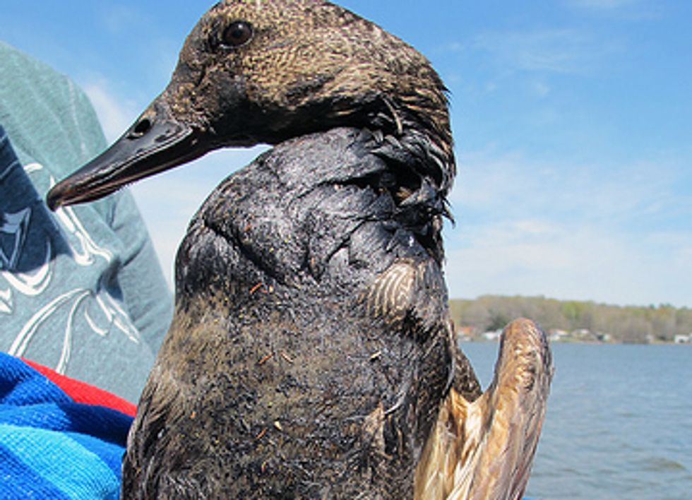 Two Months Later, Arkansas Residents Still Hurting From ExxonMobil Tar Sands Spill
