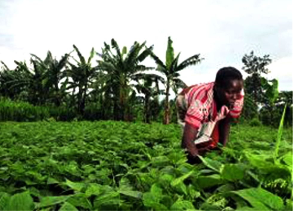 A Menu for a Sustainable Food Future