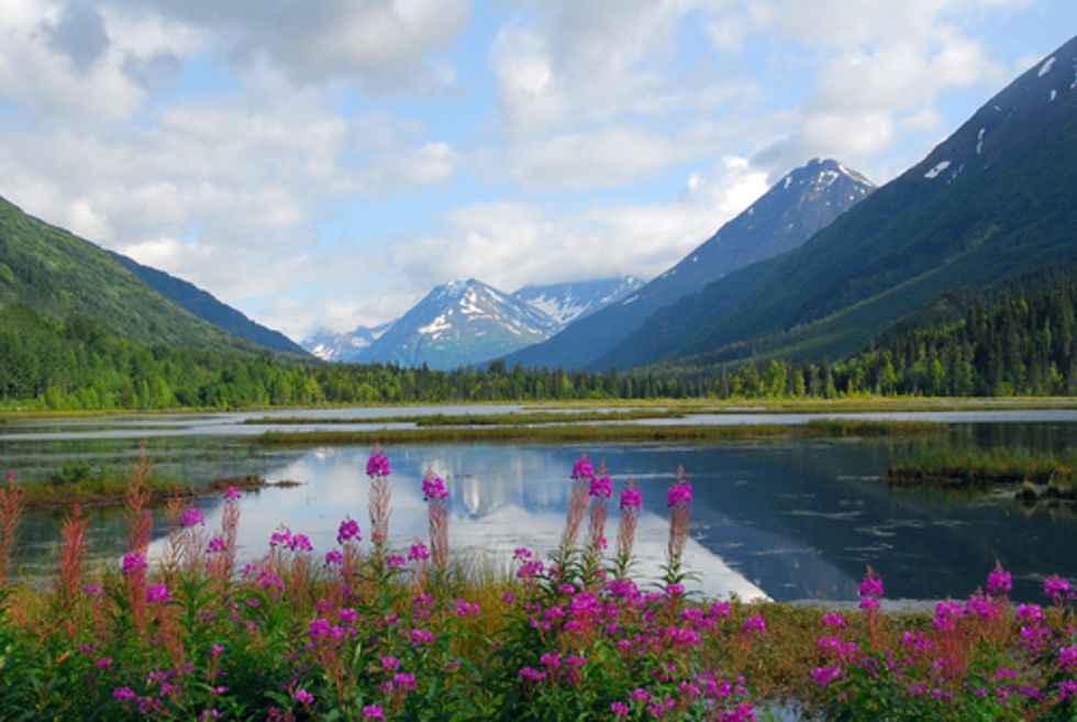 First-Ever Drill Site Approved Inside Alaskan Reserve Challenged