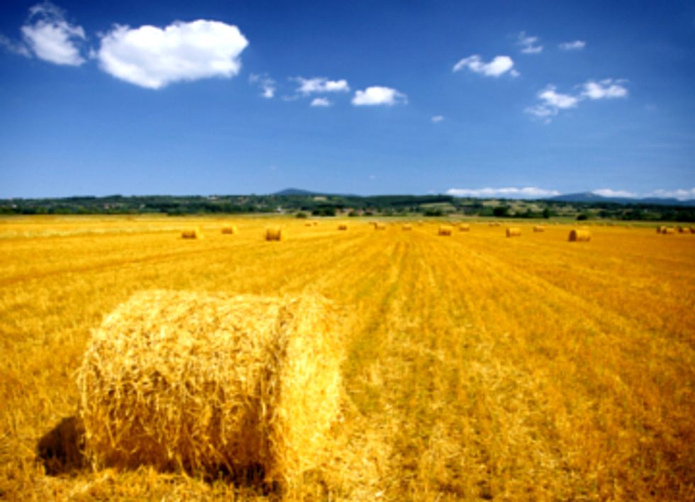 Senate to Vote on Farm Bill, Sustainable Agriculture Amendments Ignored