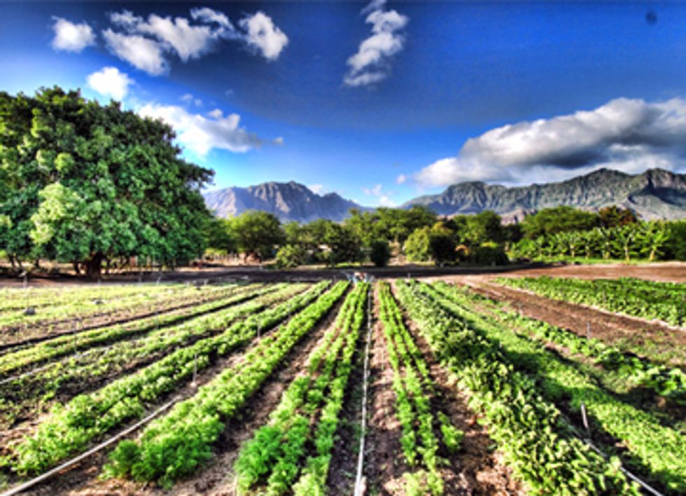 Appeals Court Binds Monsanto to Promise Not to Sue Organic Farmers
