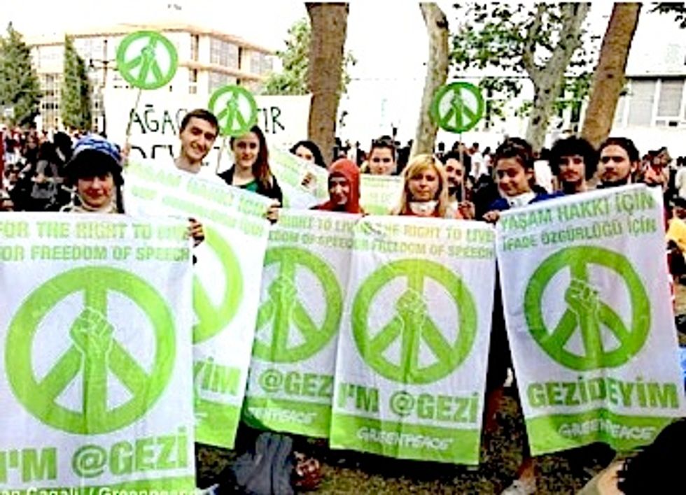 Gezi Park: A Battle to Preserve Nature and Democracy