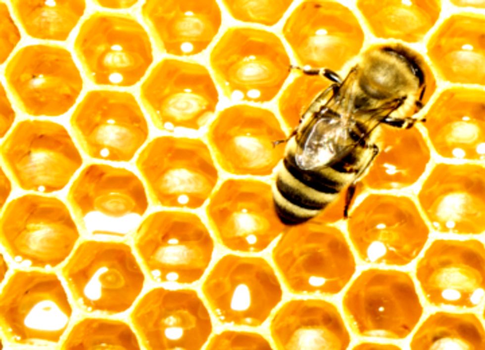 Buzz Off, Monsanto