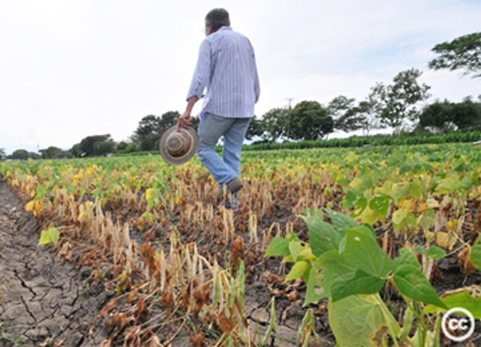 During Record Drought, Frackers Outcompete Farmers for Water Supplies